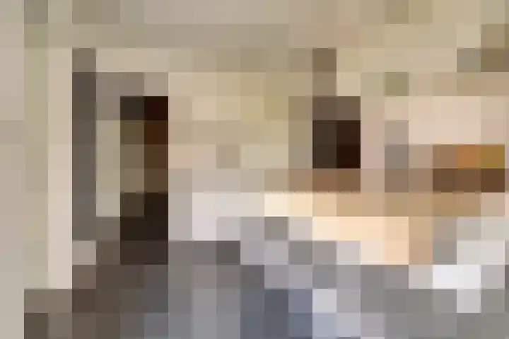 Rooseveltstraat 54 Drunen thumbnail 13