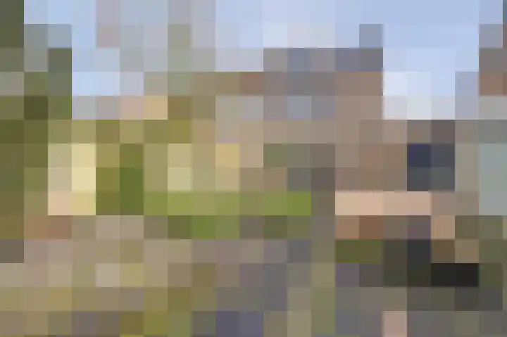 Rooseveltstraat 54 Drunen thumbnail 38