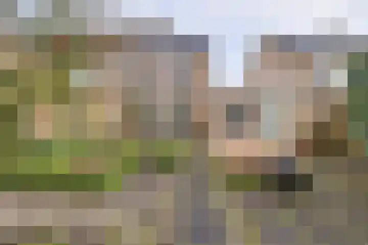 Rooseveltstraat 54 Drunen thumbnail 39