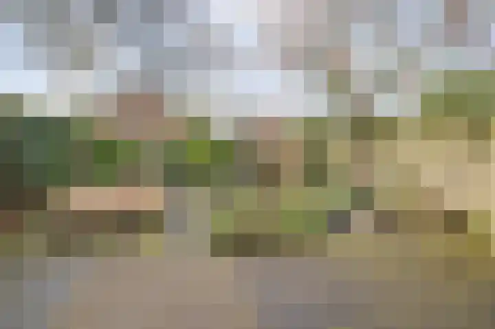 Rooseveltstraat 54 Drunen thumbnail 42