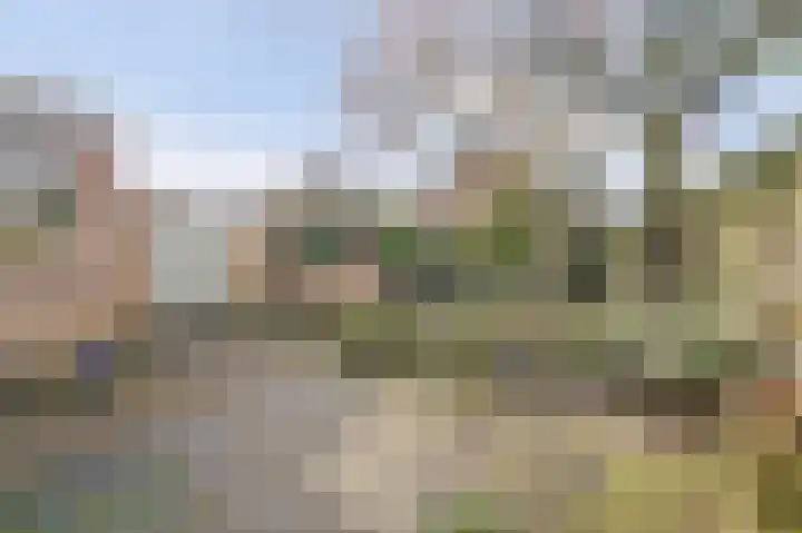 Rooseveltstraat 54 Drunen thumbnail 43