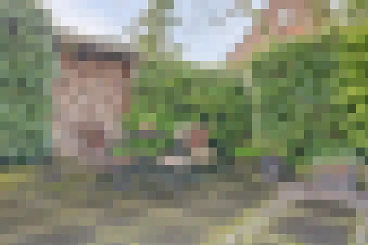 Rooseveltstraat 54 Drunen thumbnail 44