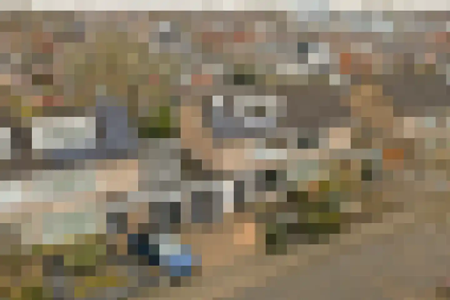 Rooseveltstraat 54 Drunen thumbnail 46