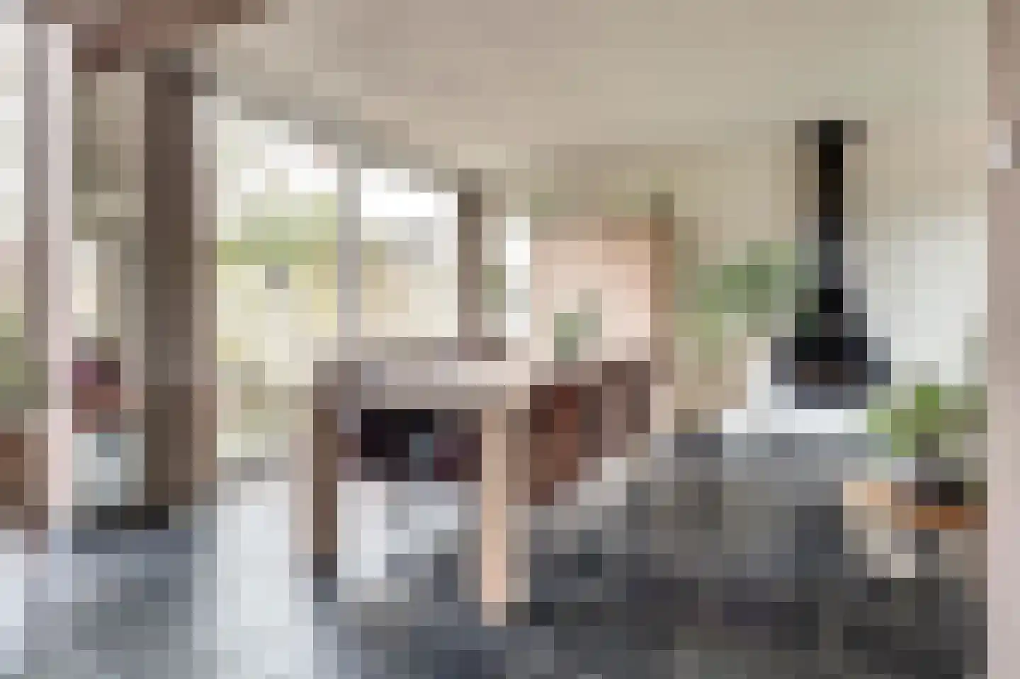 Rooseveltstraat 54 Drunen thumbnail 5