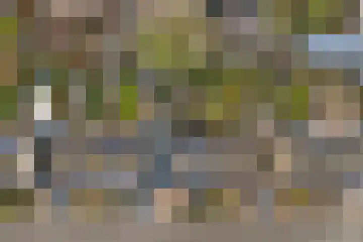 Rooseveltstraat 54 Drunen thumbnail 52