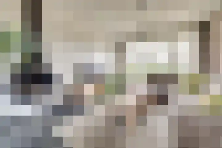 Rooseveltstraat 54 Drunen thumbnail 6