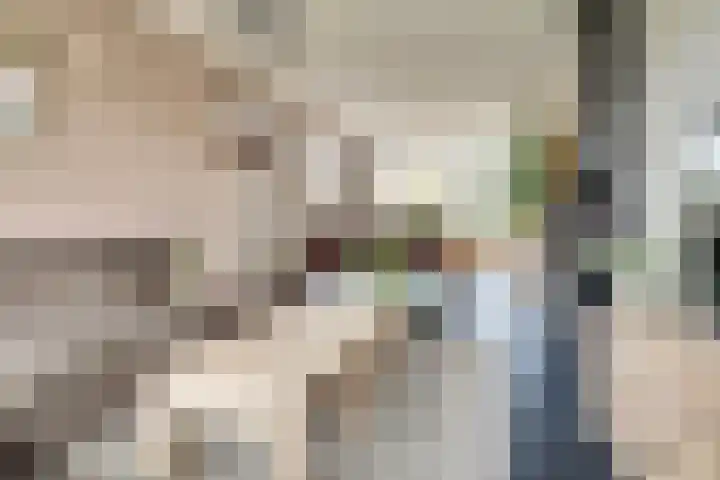 Rooseveltstraat 54 Drunen thumbnail 8