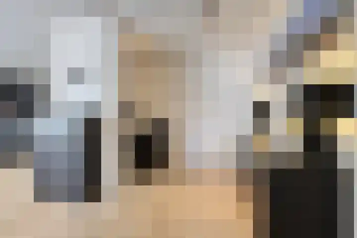 Rooseveltstraat 64 Schimmert thumbnail 10