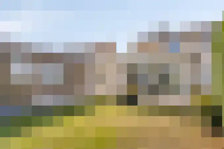 Rooseveltstraat 64 Schimmert thumbnail 5