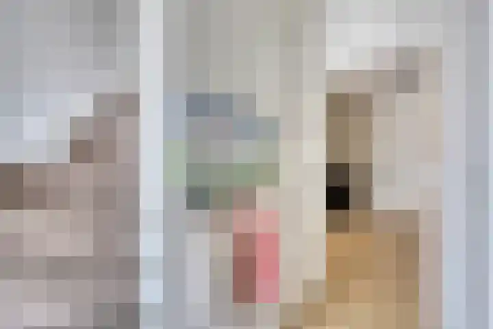 Rooseveltstraat 64 Schimmert thumbnail 7