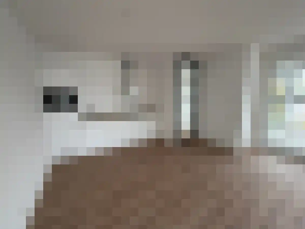 Rooseveltstraat 69 Leiden thumbnail 4