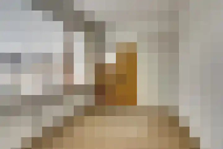 Rooseveltstraat 70 Drunen thumbnail 21
