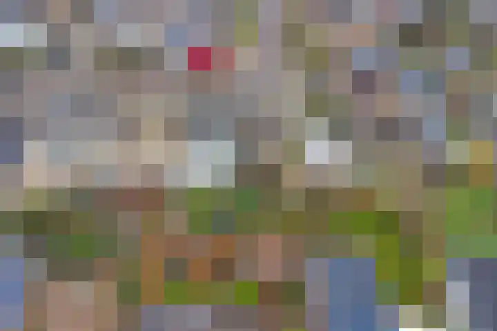 Rooseveltstraat 70 Drunen thumbnail 33