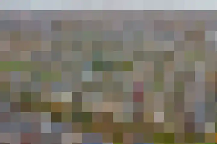 Rooseveltstraat 70 Drunen thumbnail 34