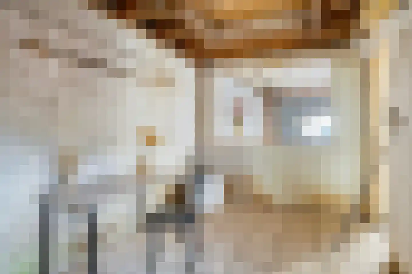 Rooseveltweg 13 Hulst thumbnail 18