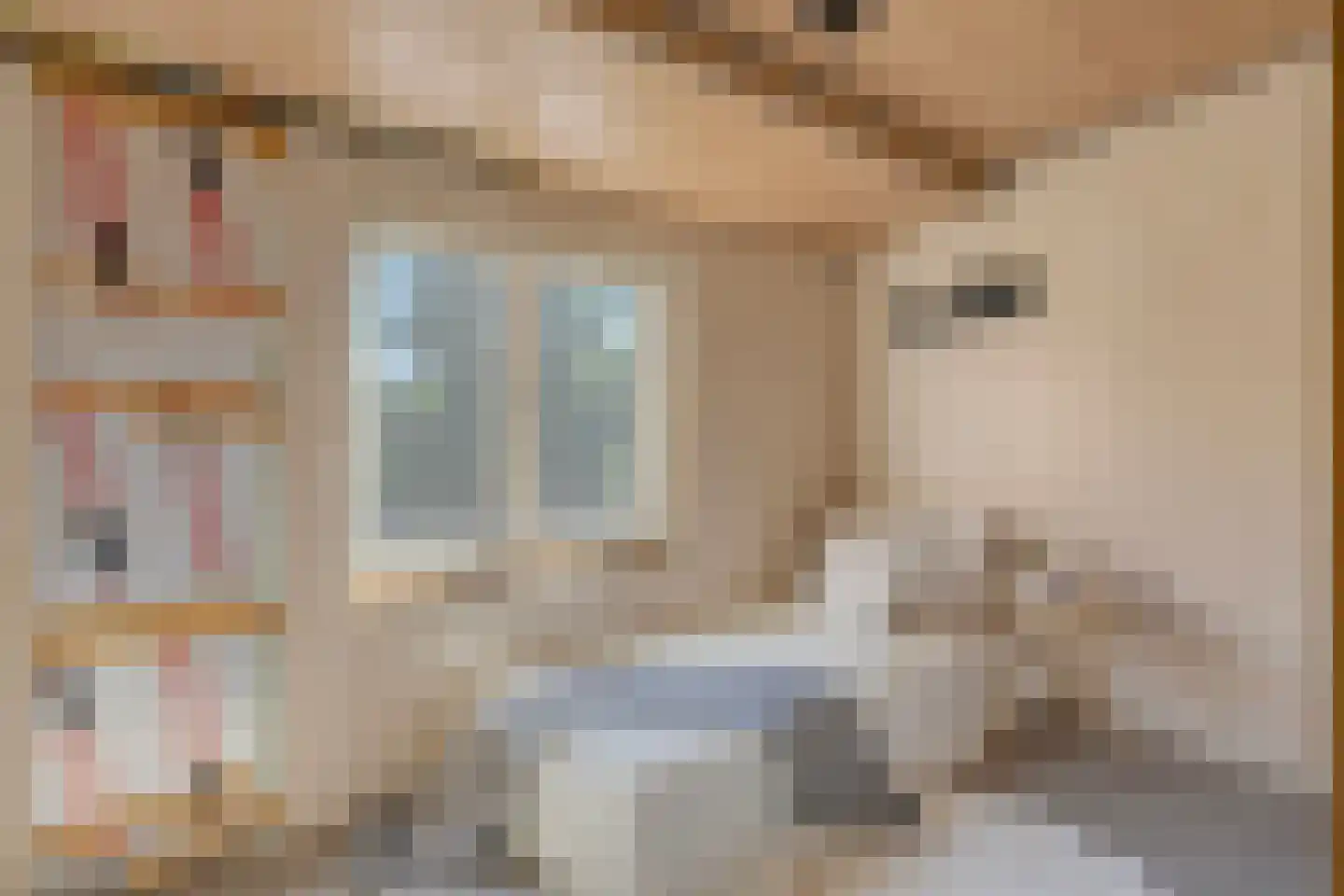 Rooseveltweg 13 Hulst thumbnail 23