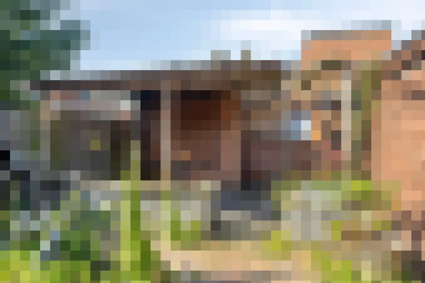 Rooseveltweg 13 Hulst thumbnail 26