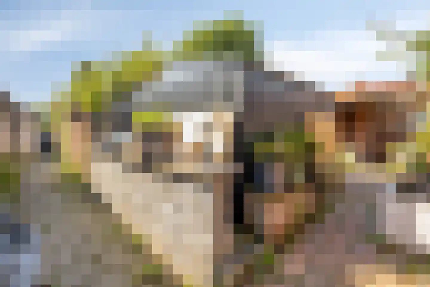 Rooseveltweg 13 Hulst thumbnail 27