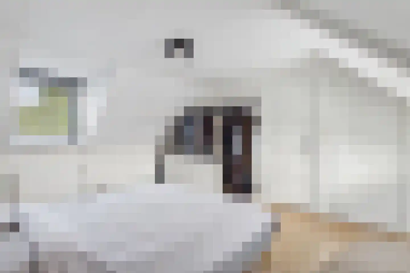 Rooseveltweg 20 Hulst thumbnail 38