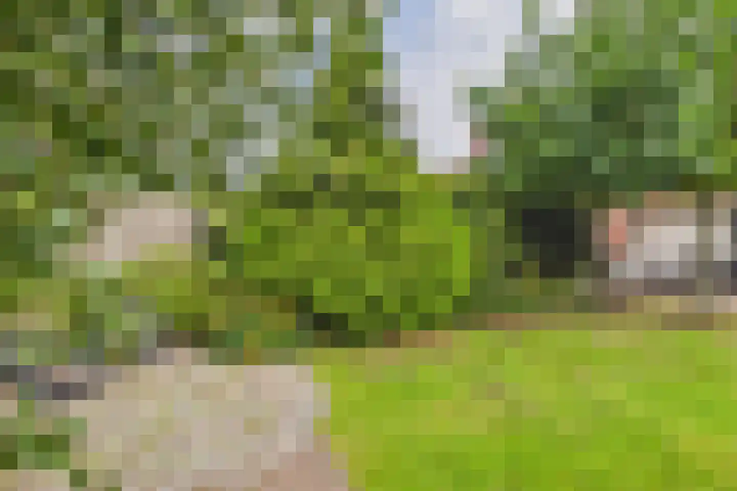 Rooseveltweg 20 Hulst thumbnail 44