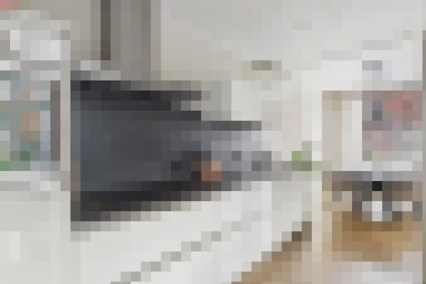 Rooseveltweg 20 Hulst thumbnail 5