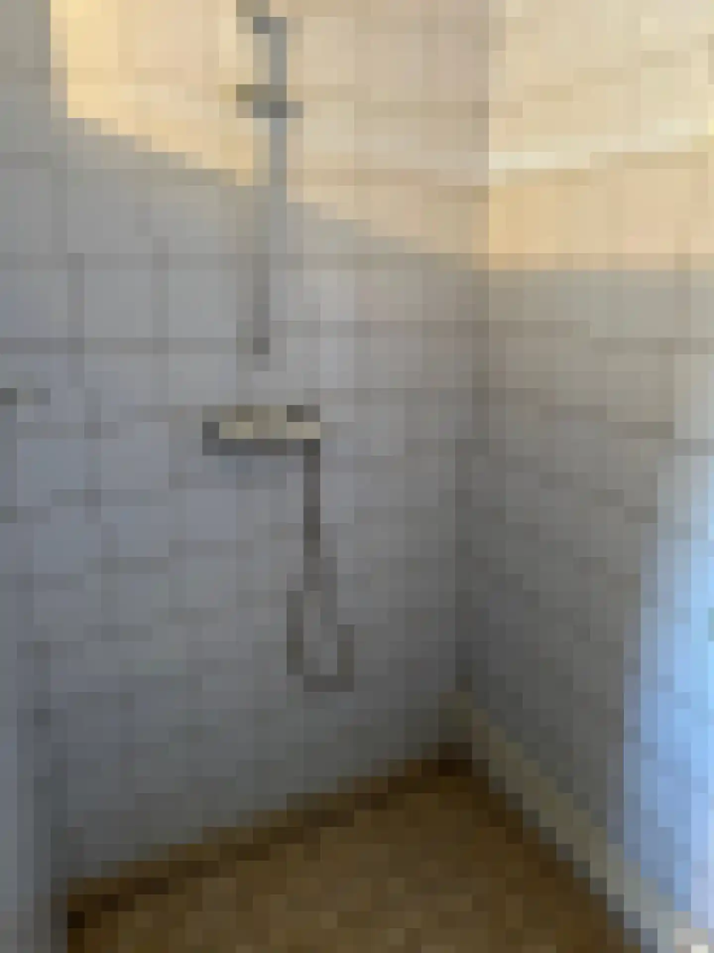 Rooseveltweg 27 Hulst thumbnail 17