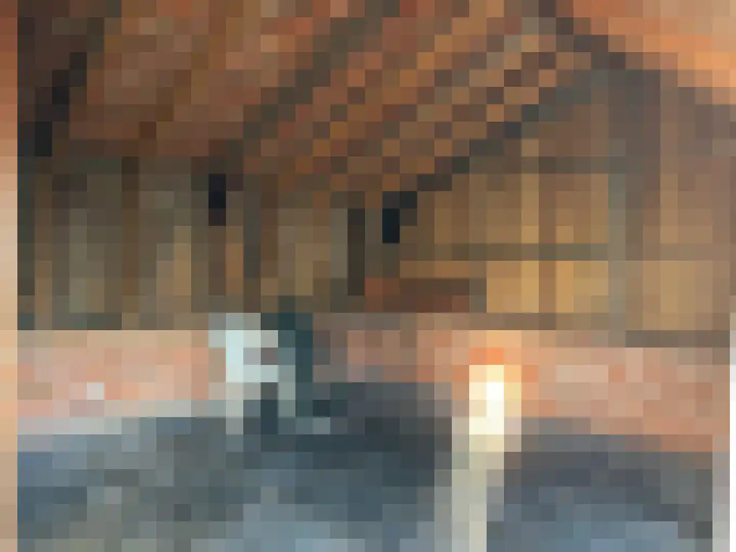 Rooseveltweg 27 Hulst thumbnail 31