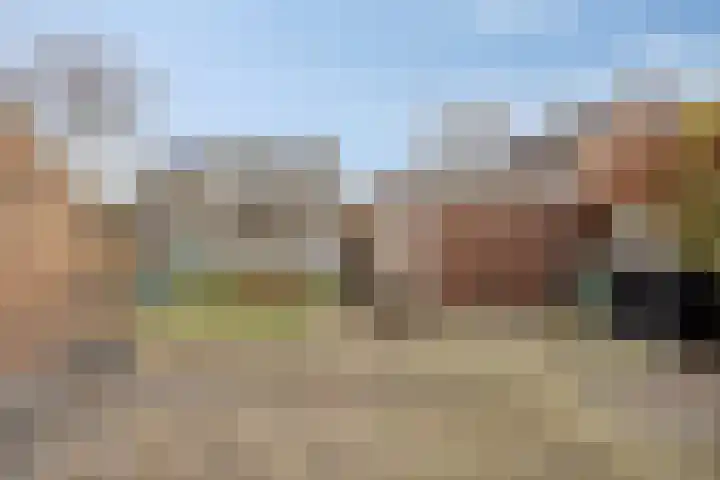 Rooseveltweg 37 Hulst thumbnail 16