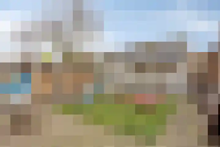 Rooseveltweg 37 Hulst thumbnail 17