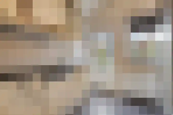Rooseveltweg 37 Hulst thumbnail 6