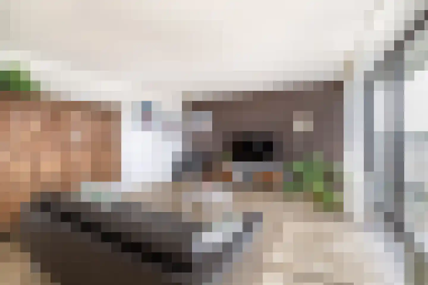 Rooseveltweg 429 Wageningen thumbnail 10