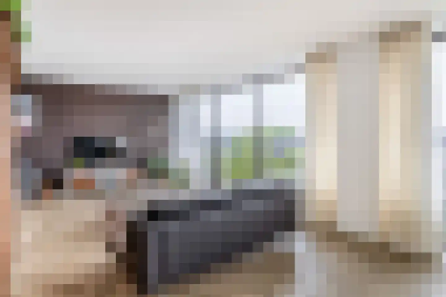 Rooseveltweg 429 Wageningen thumbnail 11