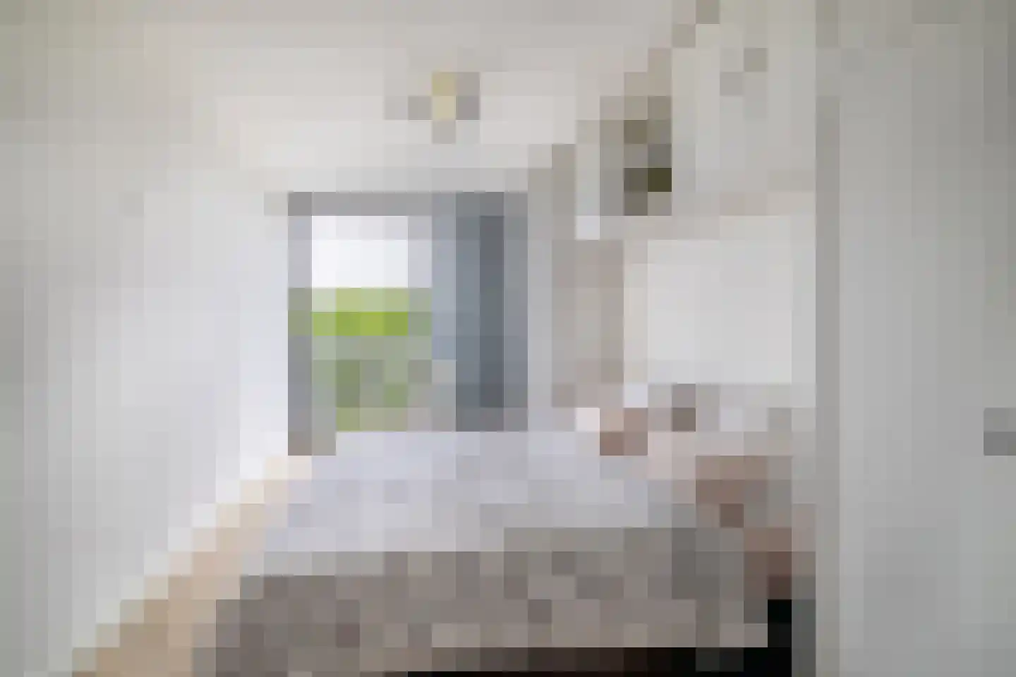 Rooseveltweg 429 Wageningen thumbnail 21