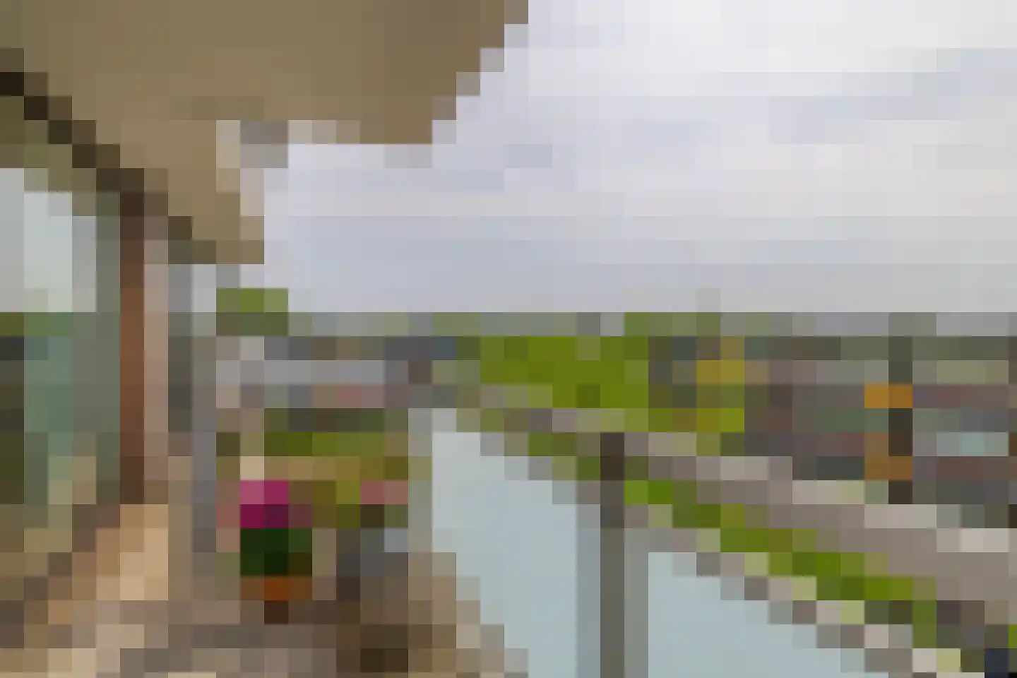 Rooseveltweg 429 Wageningen thumbnail 26