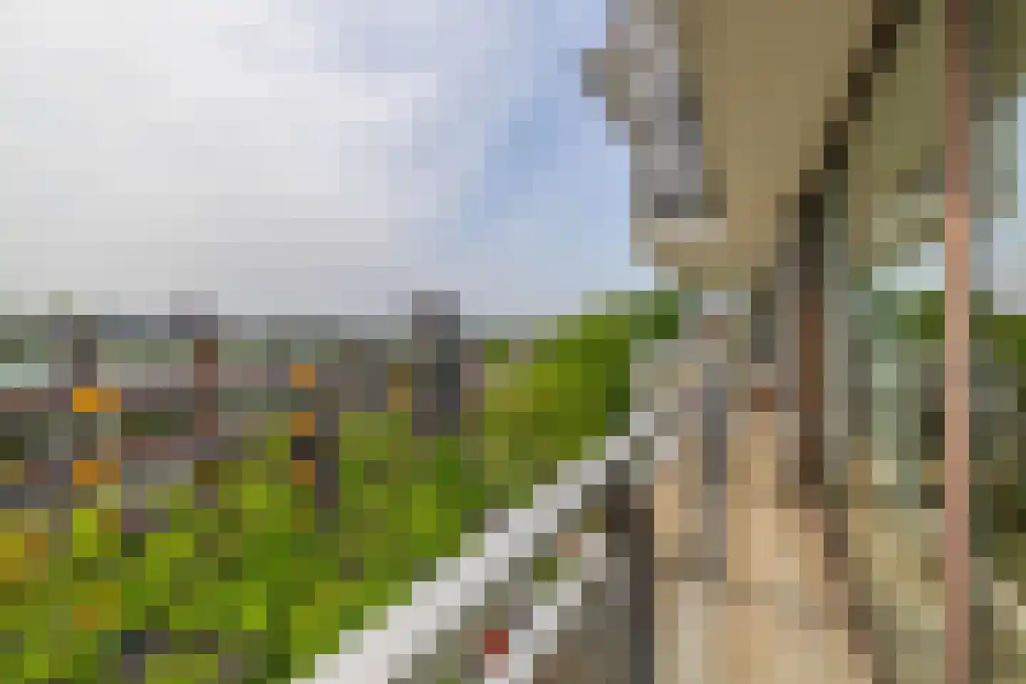Rooseveltweg 429 Wageningen thumbnail 29