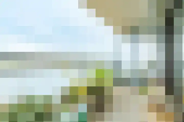 Rooseveltweg 453 Wageningen thumbnail 25