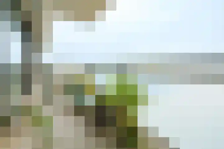 Rooseveltweg 453 Wageningen thumbnail 26