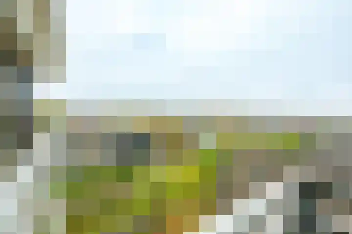 Rooseveltweg 453 Wageningen thumbnail 27