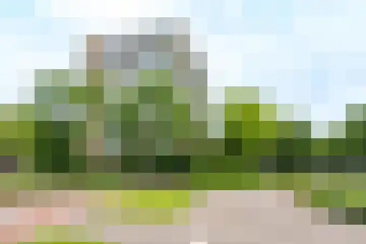 Rooseveltweg 453 Wageningen thumbnail 7