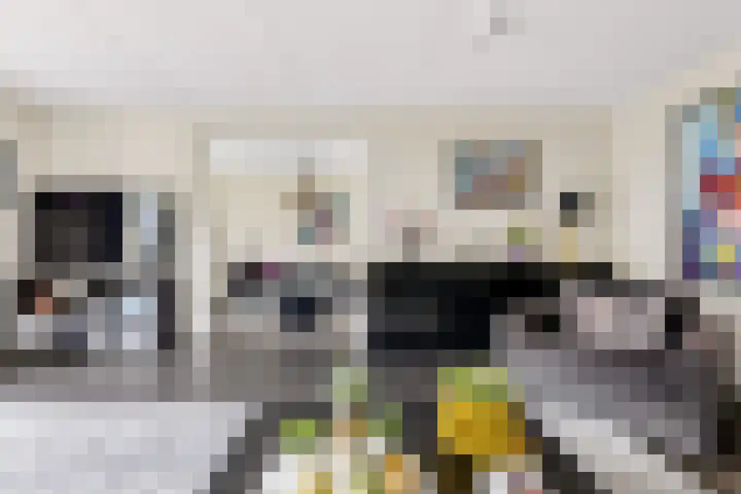 Roosje Vechtstraat 36 Elburg thumbnail 16