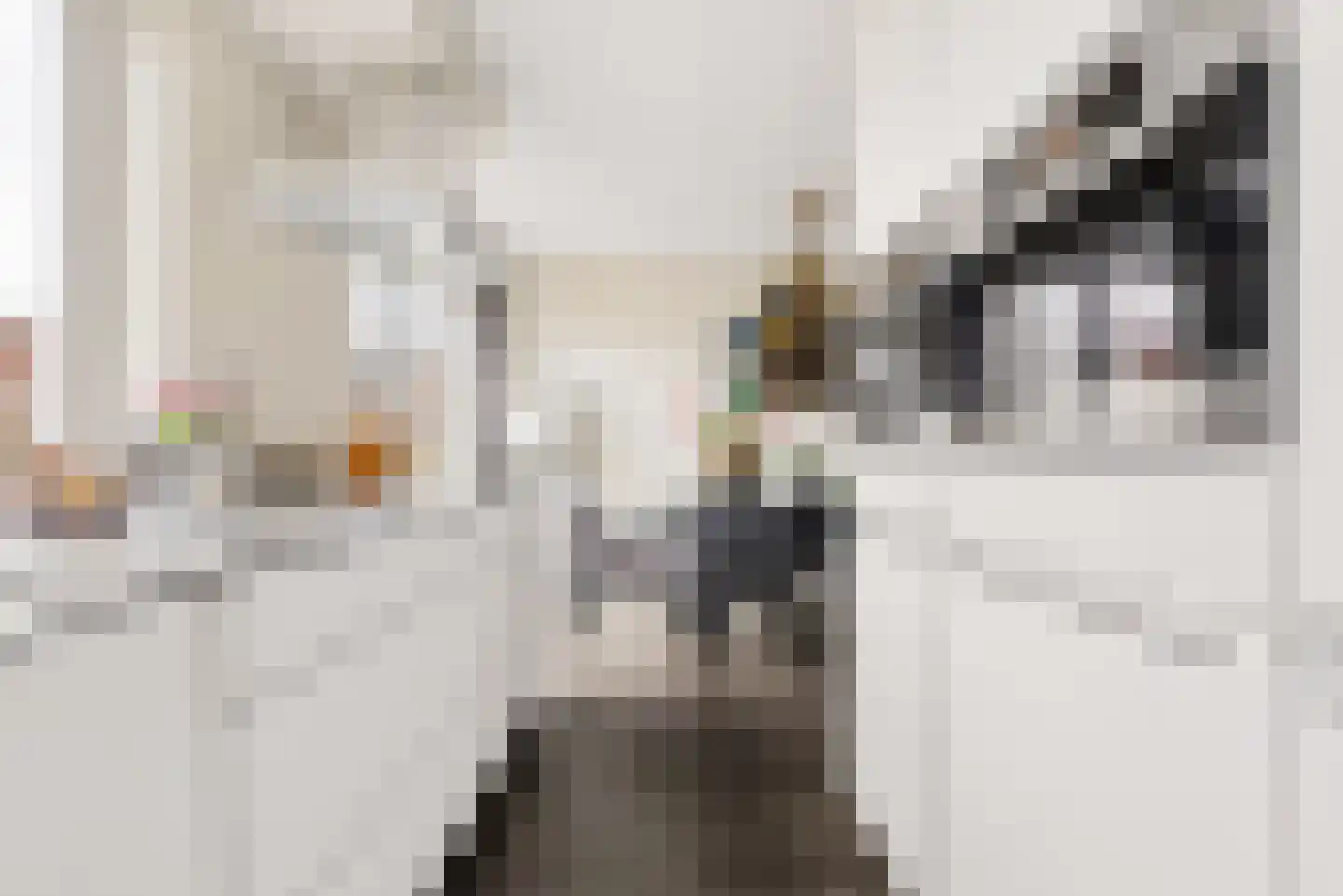 Roosje Vechtstraat 36 Elburg thumbnail 29