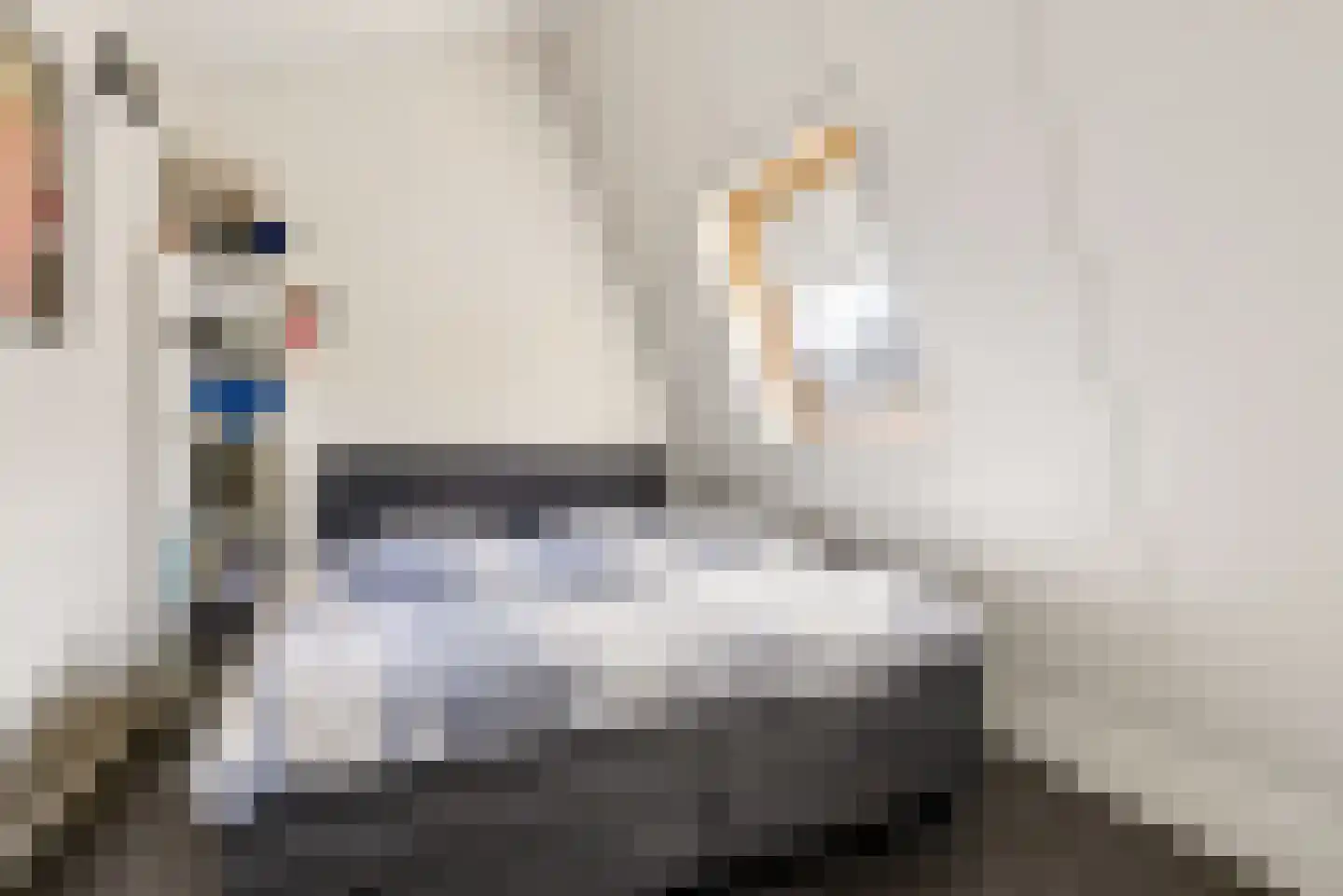 Roosje Vechtstraat 36 Elburg thumbnail 45