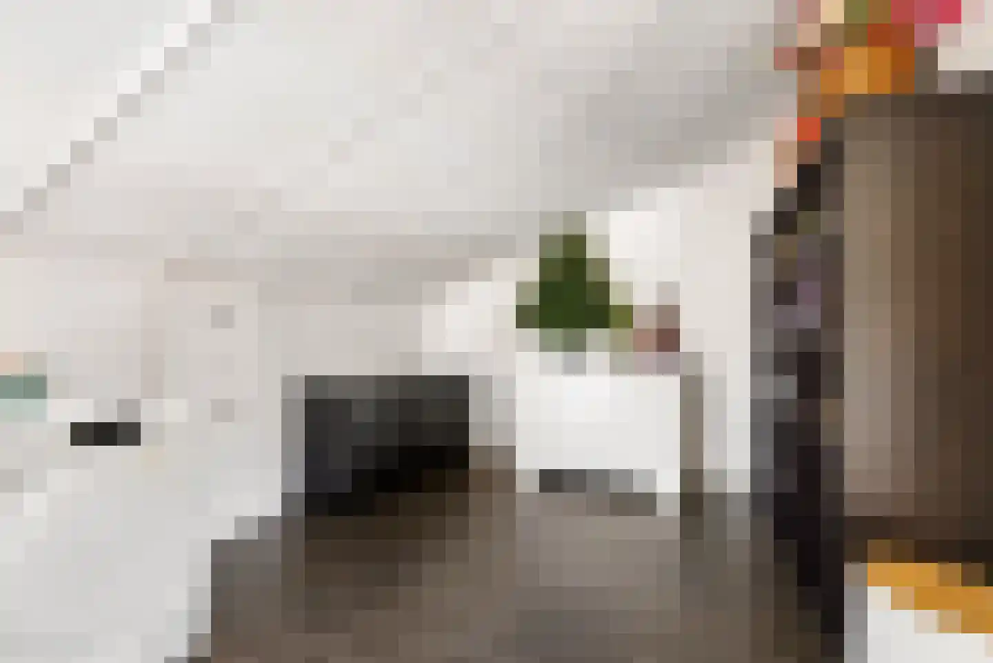 Roosje Vechtstraat 36 Elburg thumbnail 48