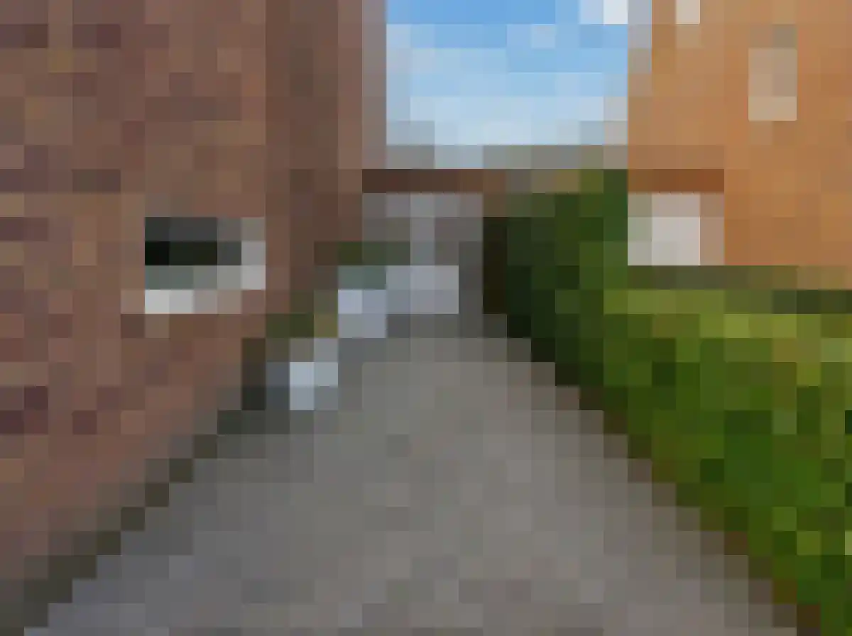 Roosje Vechtstraat 36 Elburg thumbnail 49