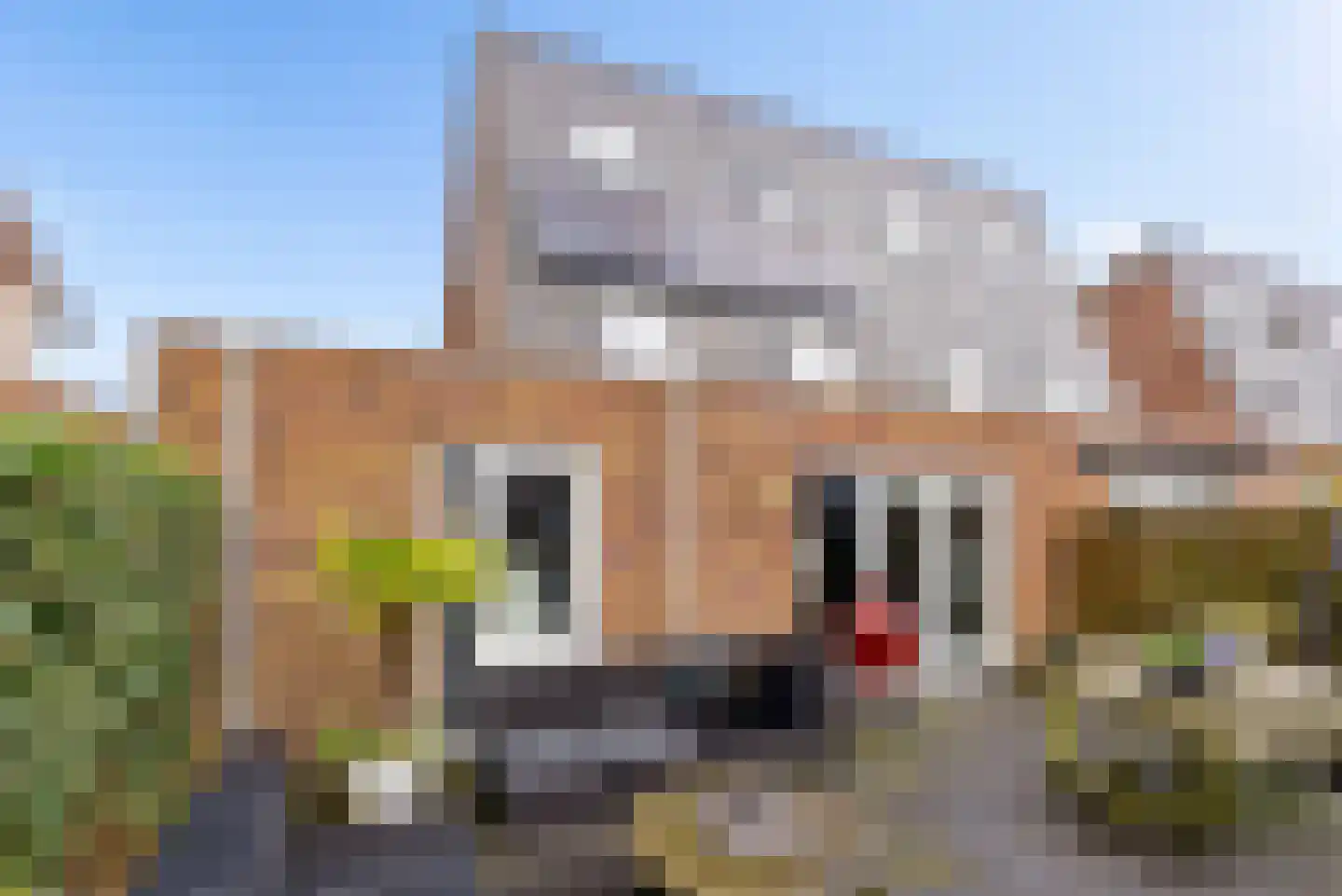 Roosje Vechtstraat 36 Elburg thumbnail 51