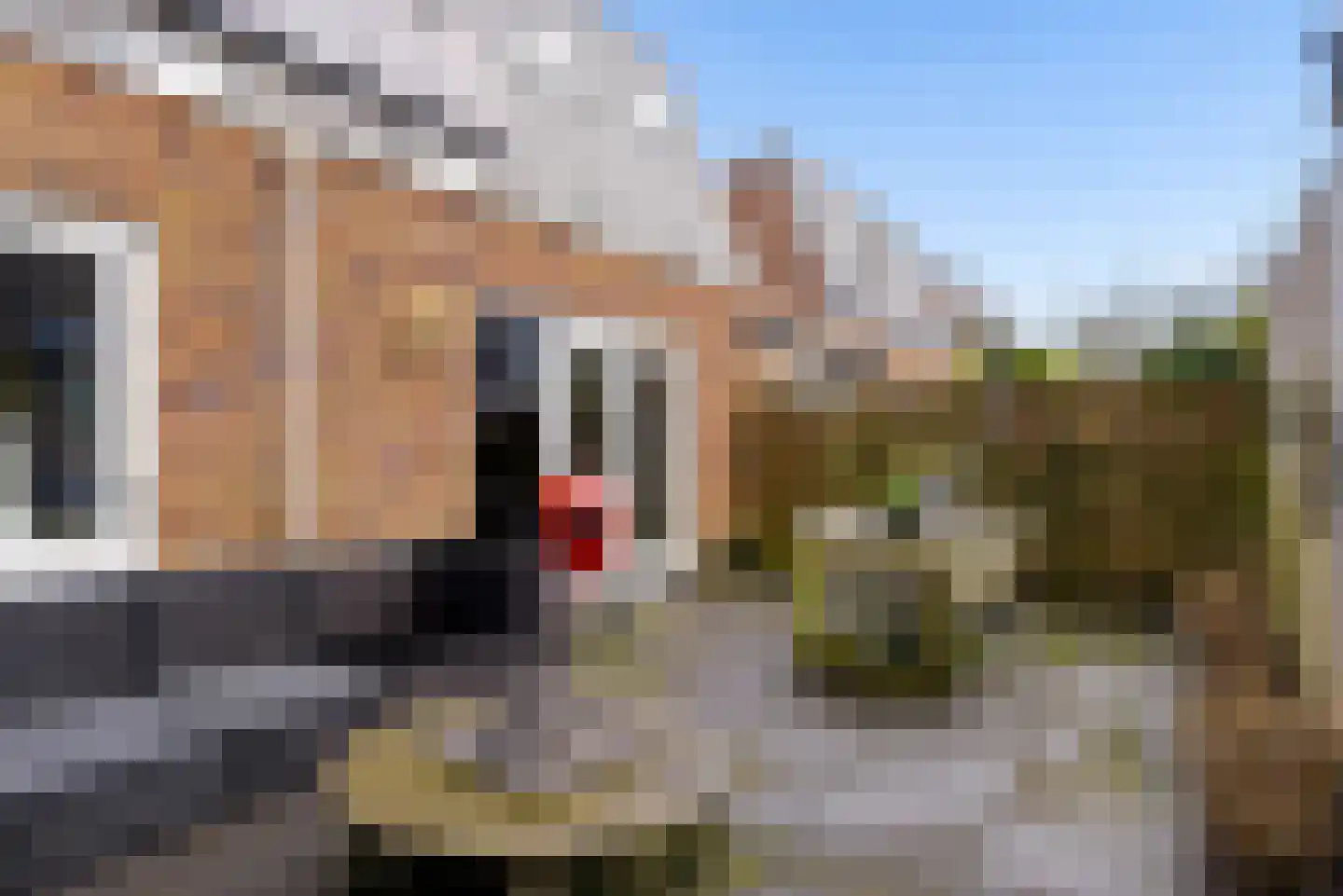 Roosje Vechtstraat 36 Elburg thumbnail 52