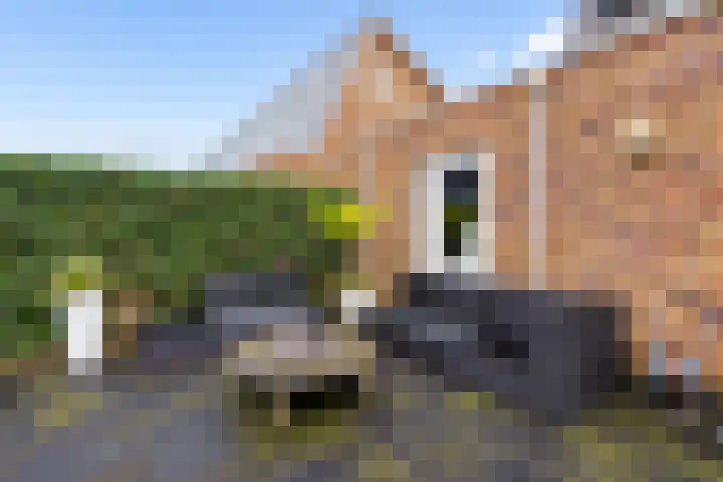 Roosje Vechtstraat 36 Elburg thumbnail 53