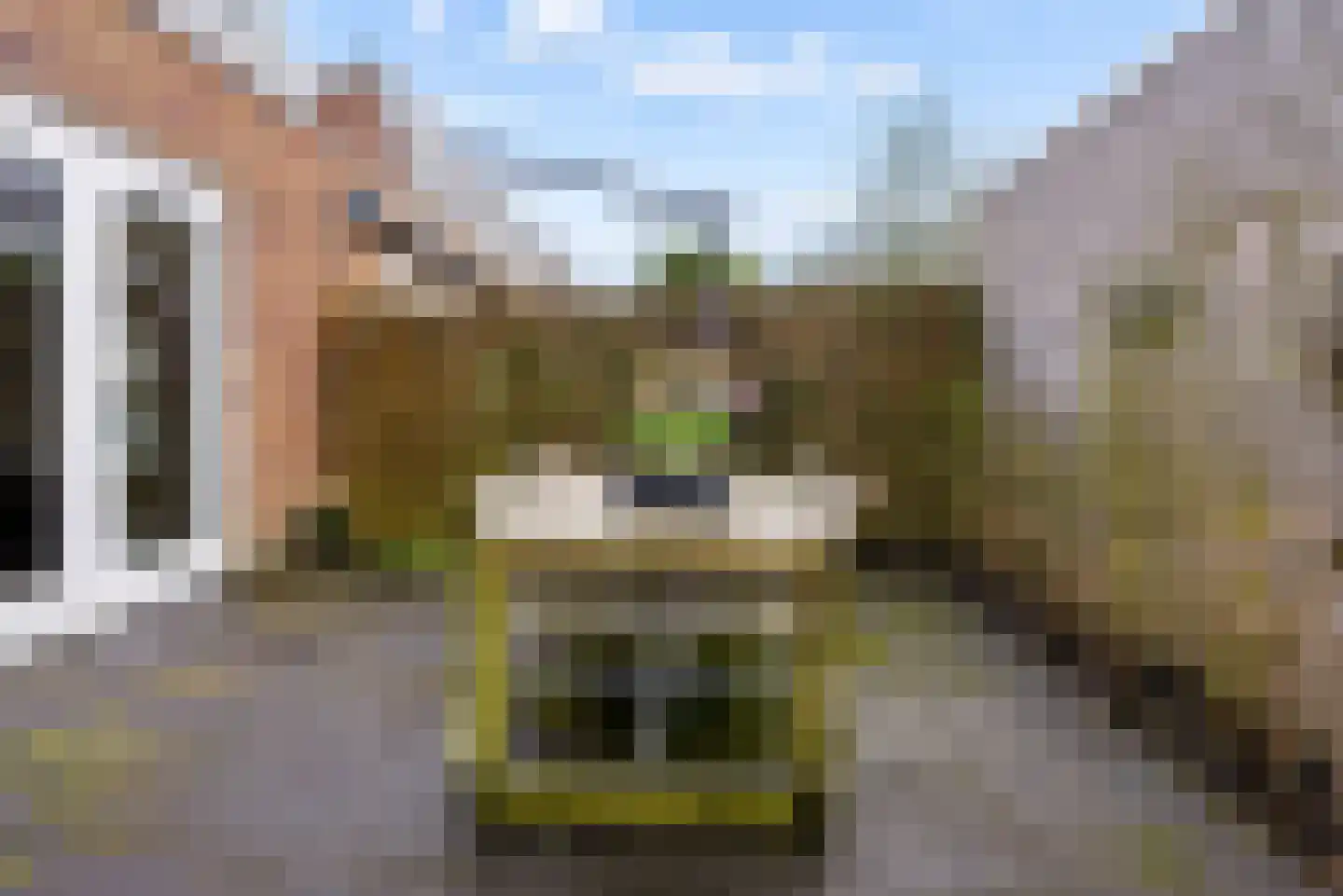 Roosje Vechtstraat 36 Elburg thumbnail 55