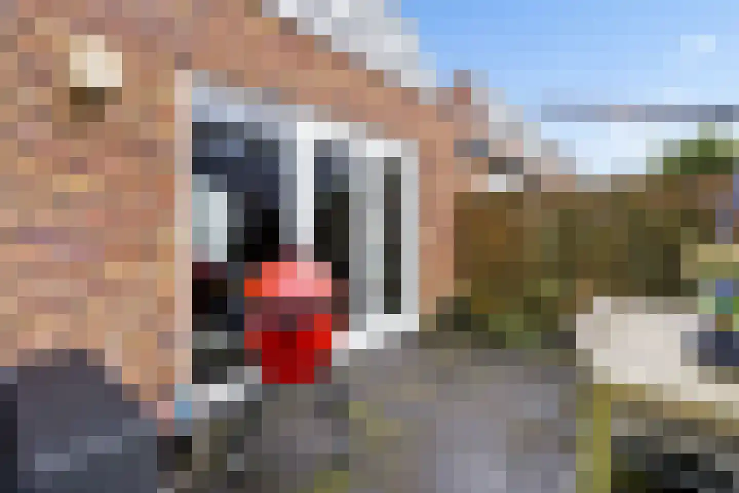 Roosje Vechtstraat 36 Elburg thumbnail 56
