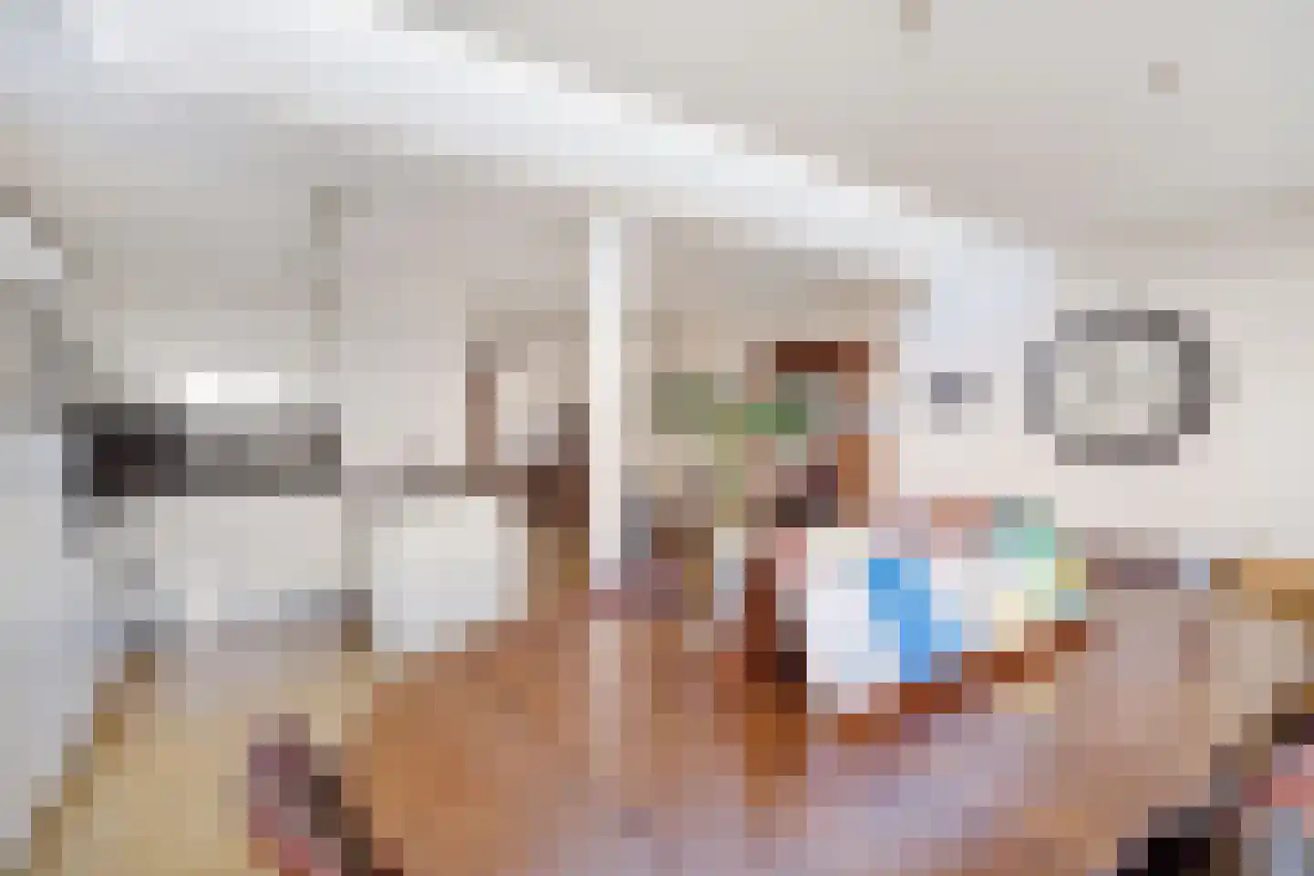 Roosje Voshoeve 1 Waddinxveen thumbnail 15